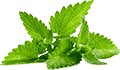 软件市场可靠的DDOS网页端